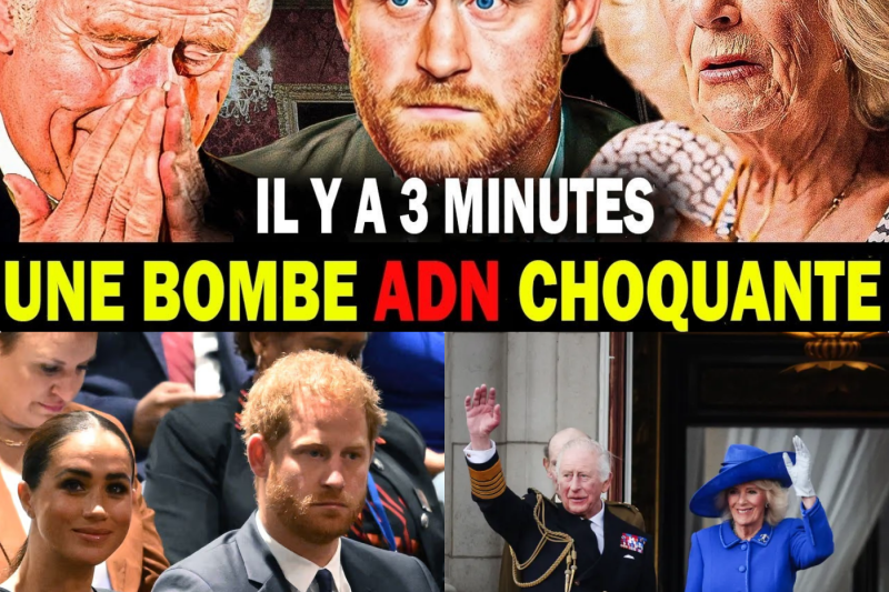 Le Sang ne suffit pas : Pourquoi la vérité sur Harry est sa plus grande tragédie