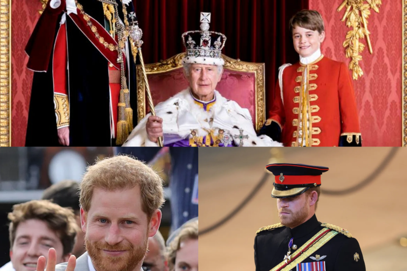 Le Divorce Royal est Consommé : Harry face à l’Humiliation de Trop