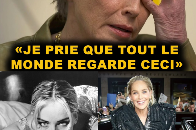 Le Génie Sacrifié : Comment Hollywood a Tenté d’Anéantir Sharon Stone et l’Histoire Secrète de sa Seconde Vie