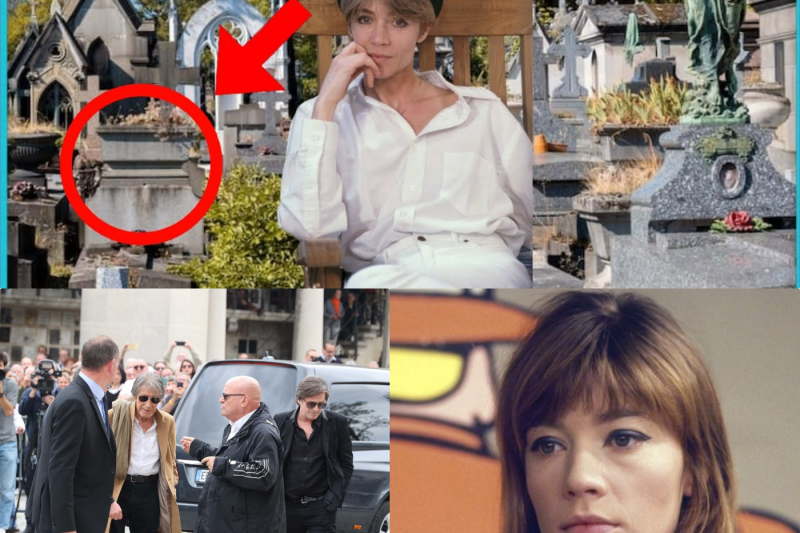 Françoise Hardy : Le Dilemme Déchirant de Thomas Dutronc face à l’Ultime Volonté d’une Icône