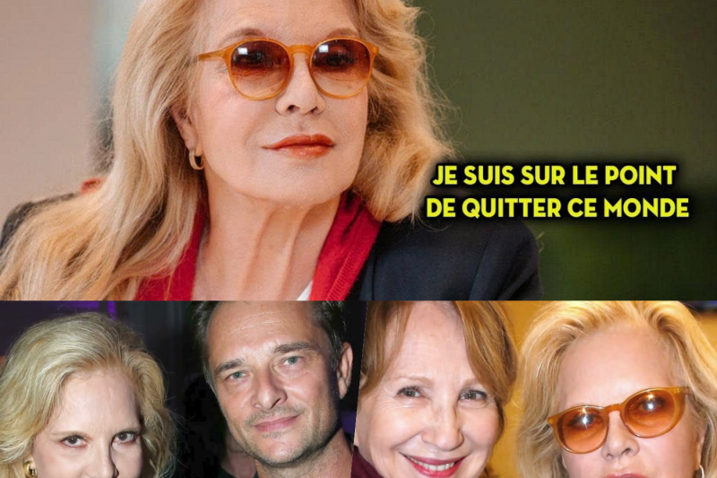 L’héritage secret de Sylvie Vartan : Une fortune colossale qui bouleverse et unit son clan dans les larmes