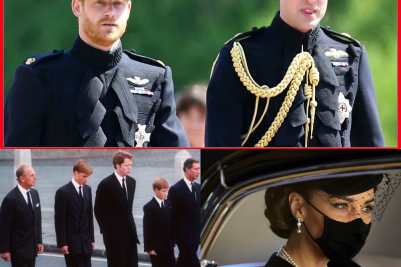 Le sacrifice d’Elizabeth II : Comment la Reine a brisé un siècle de tradition militaire pour masquer le déshonneur d’Harry et Andrew