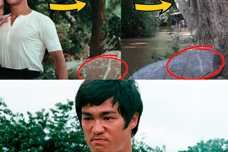 Le Sanctuaire Oublié du Petit Dragon : Cinquante Ans Après, la Vérité Surgit de la Cascade de “The Big Boss”