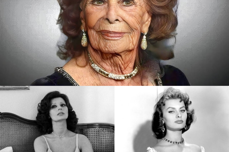 Le crépuscule d’une déesse : À 90 ans, les secrets, les larmes et l’ultime combat de Sophia Loren contre le temps