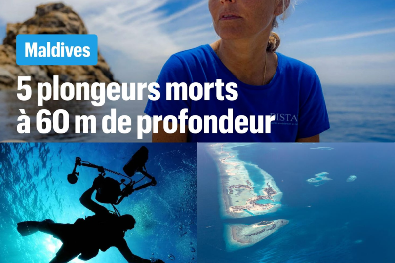 Le Piège des Profondeurs : Le Mystère Tragique des Cinq Plongeurs Perdus aux Maldives