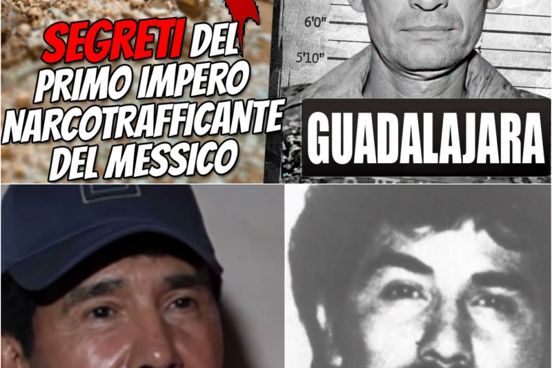 Cartello di Guadalajara Il primo impero: com’è iniziata davvero l’era dei cartelli messicani​