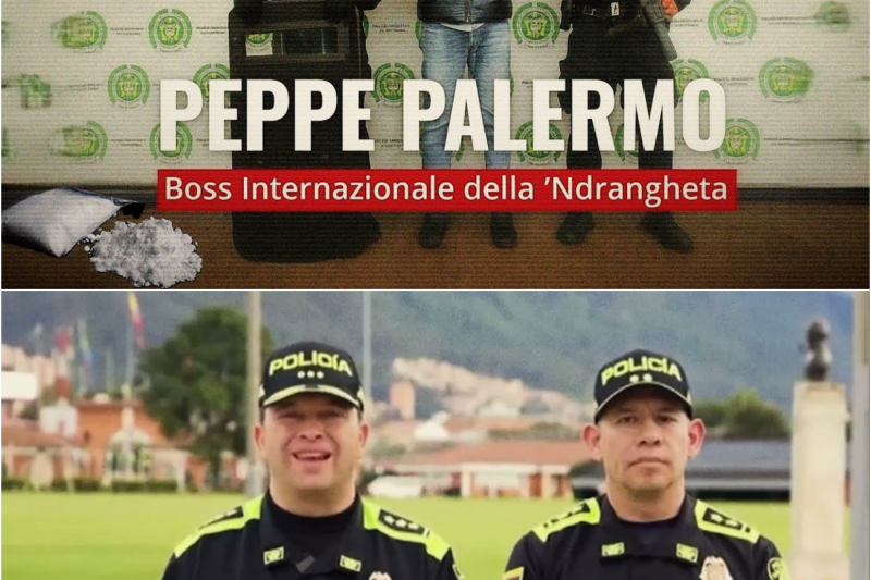 GIUSEPPE “PEPPE” PALERMO – Il Boss Internazionale della ‘Ndrangheta