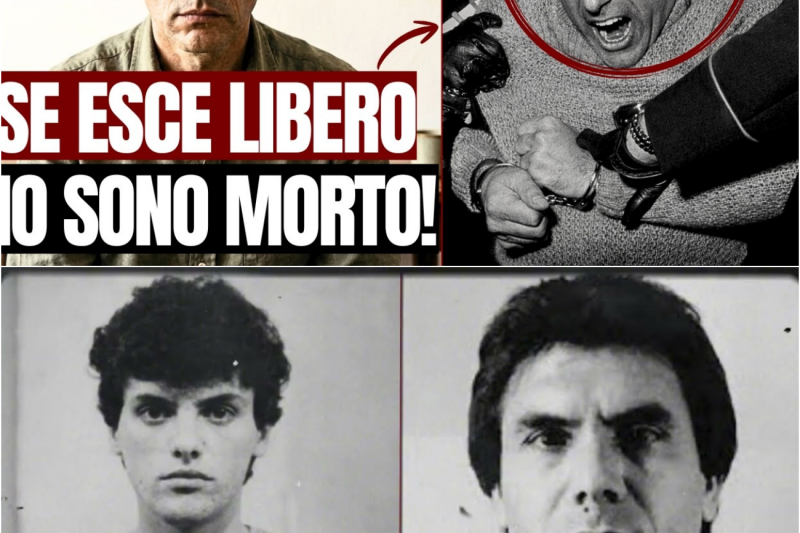 Il mafioso che HA DISTRUTTO Leoluca Bagarella per sfuggire alla sedia elettrica|RIVELAZIONE INEDITA!