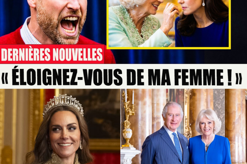 Guerre des Diadèmes à Buckingham : Quand le Silence de Catherine Brise la Façade Royale