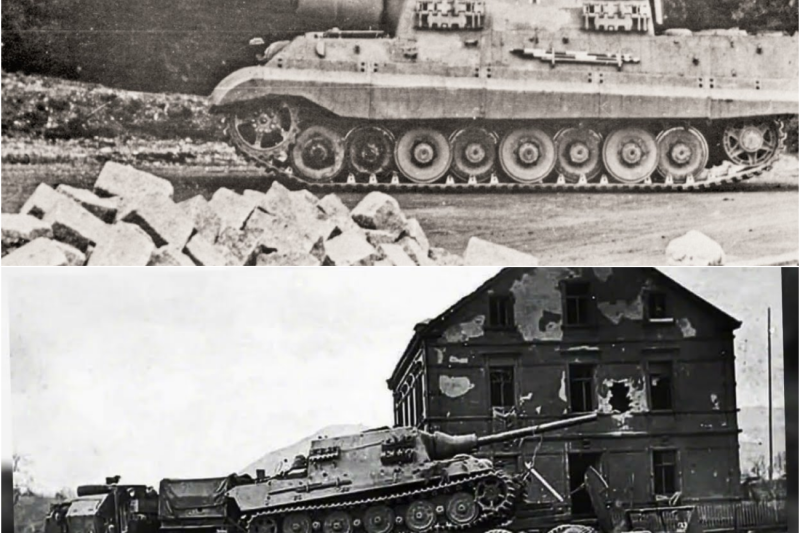 70 tonnellate di terrore: la mostruosa macchina da guerra tedesca temuta dagli Alleati | Jagdtiger