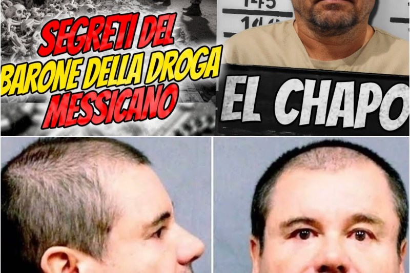 EL CHAPO Re di Sinaloa: La federazione invisibile e la criminalità organizzata globale