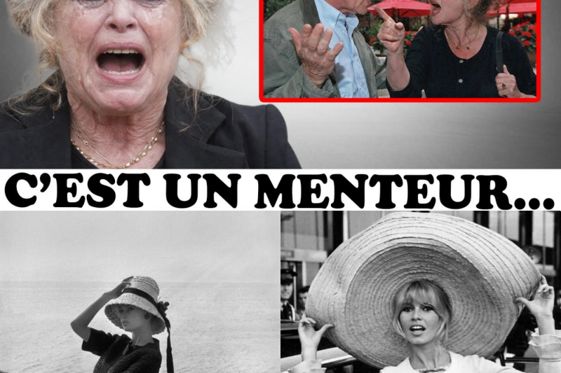Le Silence Glacial de La Madrague : Comment le Quatrième Mariage de Brigitte Bardot est Devenu « Le Pire de Sa Vie »