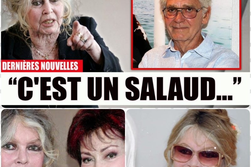 Brigitte Bardot Brise le Silence : La Vérité Bouleversante sur le Pire Mariage de sa Vie