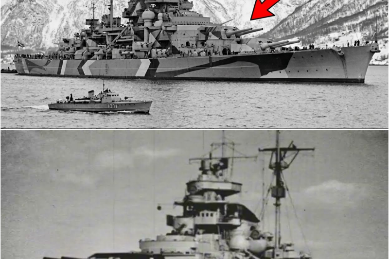 Tirpitz: La Caccia alla Corazzata «Fantasma dell’Artico» di Hitler