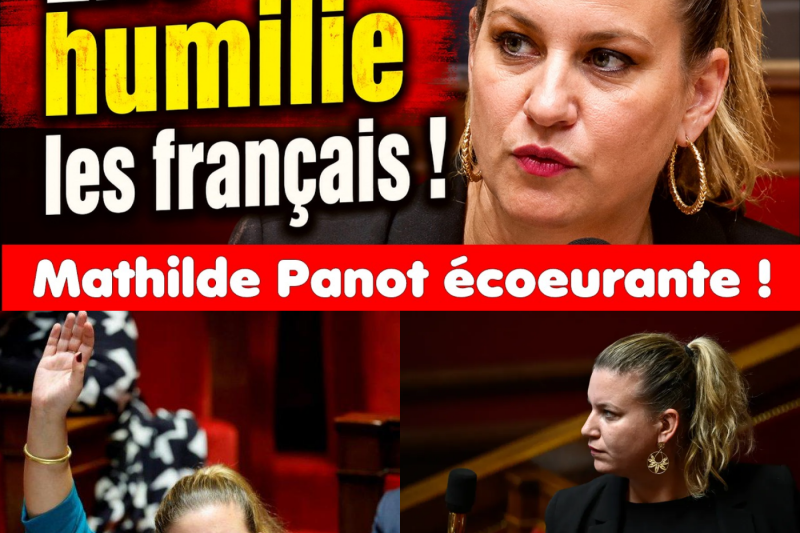 Le cri du cœur d’un amoureux de la France : face aux dérives de Mathilde Panot et de La France Insoumise, le spectre d’un chaos inévitable