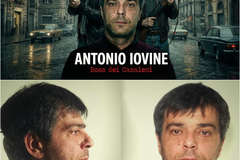 ANTONIO IOVINE – L’Ascesa e il Declino del Boss dei Casalesi