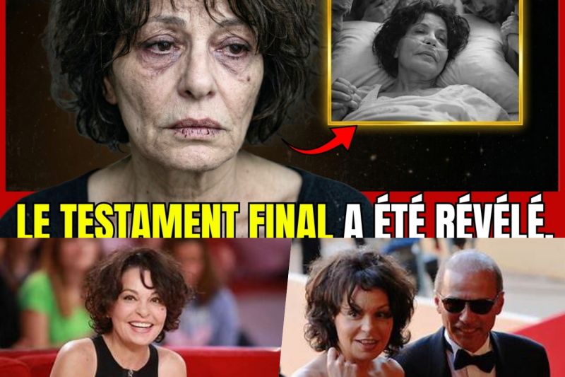 Le Testament Secret d’Isabelle Mergault : La Confession Ultime Qui Bouleverse la France