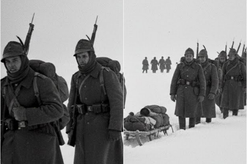Gli Alpini Italiani Camminarono 200km Nella Neve Russa —E Salvarono 3 Divisioni Tedesche Accerchiate