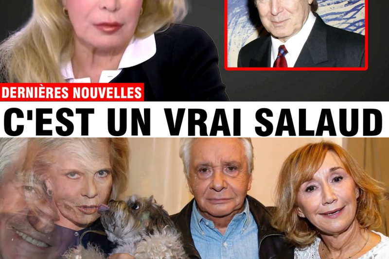 Les fissures de l’idole : Sylvie Vartan lève le voile sur la vérité douloureuse et les secrets cachés de son mariage avec Johnny Hallyday