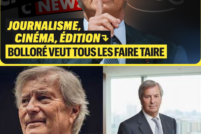 OMERTA ET CENSURE : COMMENT VINCENT BOLLORÉ TENTE DE METTRE AU PAS LE CINÉMA ET LES MÉDIAS FRANÇAIS