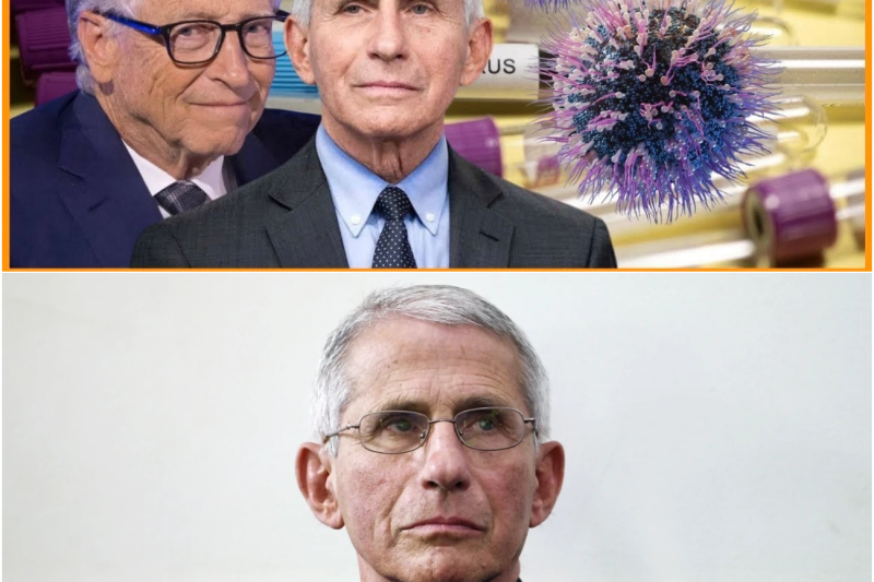 Saisie choc aux États-Unis : 113 fioles de virus cachées dans des valises ébranlent l’empire de Big Pharma et le système Fauci