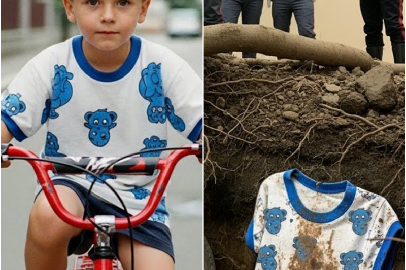 Bambino scompare con la bicicletta nel 1991 — 30 anni dopo trovano qualcosa a 500 metri da casa…