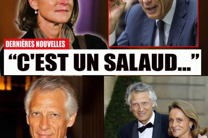 Le Prix de la Grandeur : Comment l’Obsession du Pouvoir a Brisé le Mariage de Dominique et Marie-Laure de Villepin
