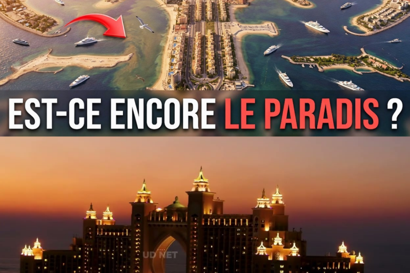L’Effondrement Secret de Dubaï : Quand le Rêve de Palm Jumeirah Tourne au Cauchemar pour les Milliardaires