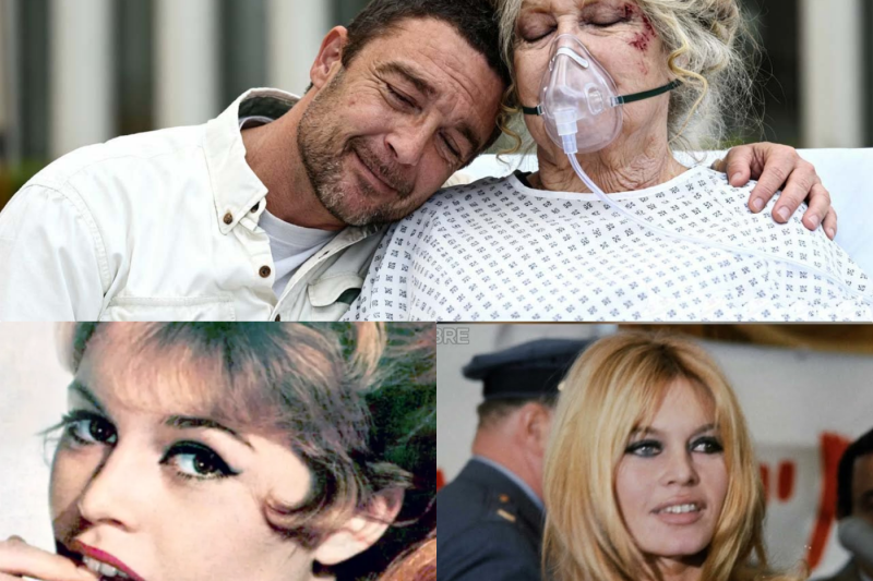 Le Cri Posthume de Brigitte Bardot : Pourquoi son ultime message refuse de nous consoler