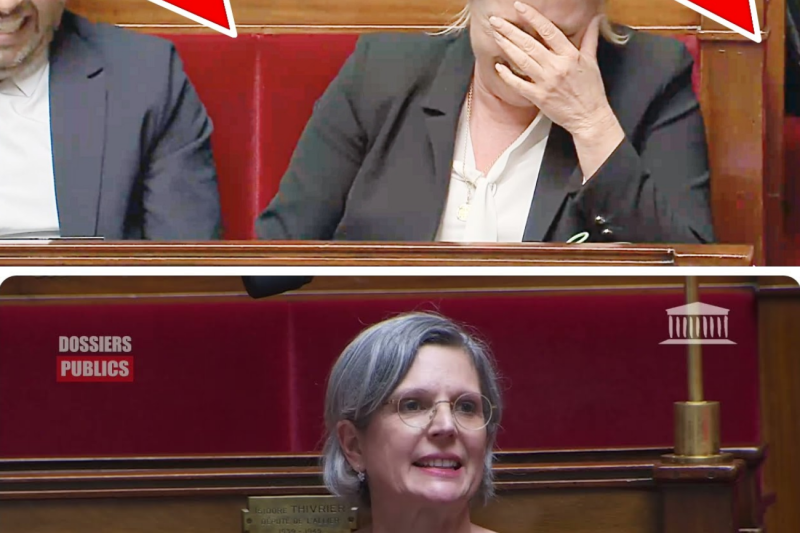 “Vous n’êtes pas des écologistes, vous êtes des escrocs !” : Le Coup de Sang Magistral de Jean-Philippe Tanguy Qui Fait Trembler l’Assemblée Nationale