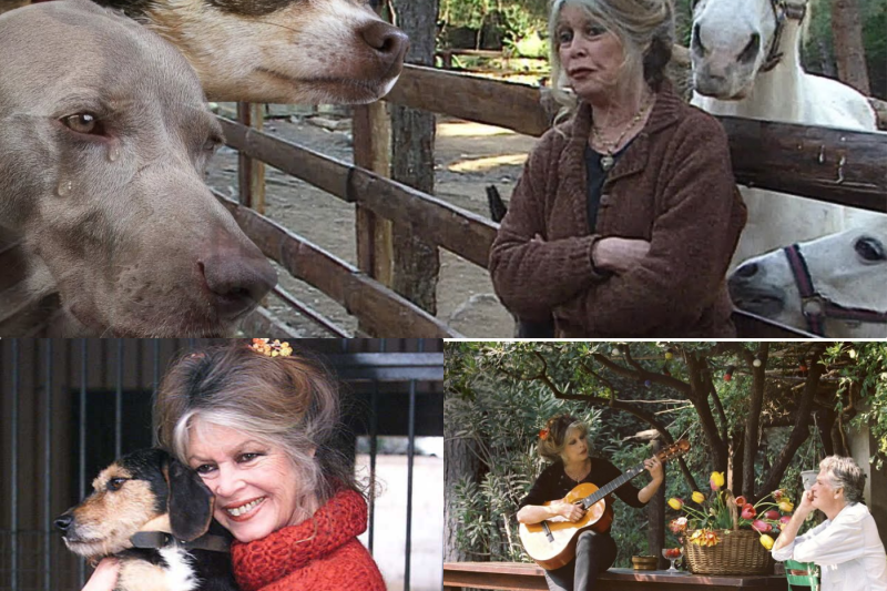 Mort de Brigitte Bardot : Ses animaux au cœur d’une scène pleine d’émotion !