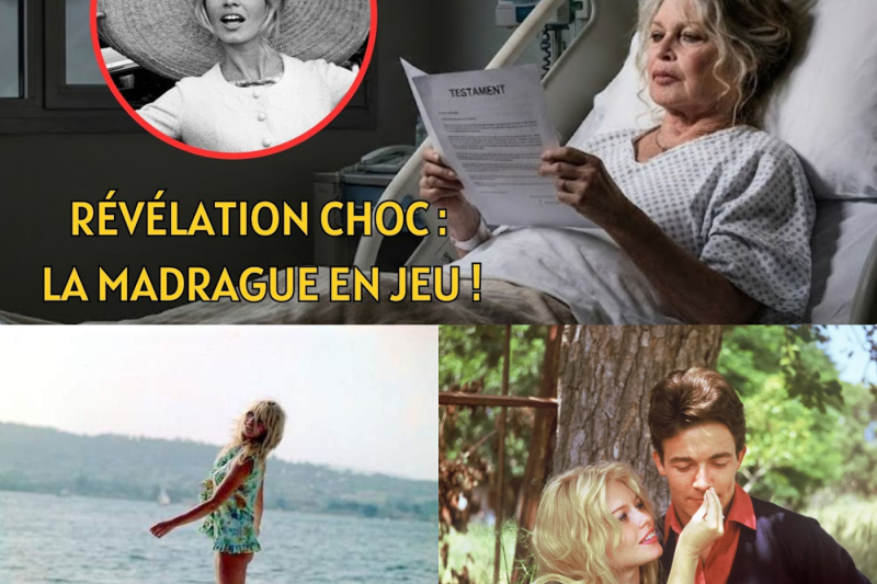 L’adieu par soustraction : Comment le testament chirurgical de Brigitte Bardot a neutralisé sa propre lignée
