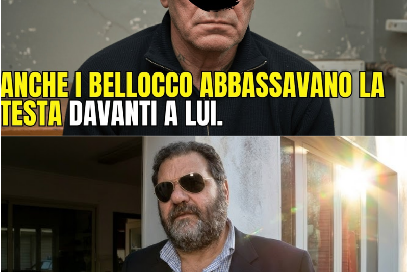 Ex Soldato della ‘Ndrangheta CONFESSA: Come Rocco “Il Lupo” Dominava Sui Fratelli Bellocco