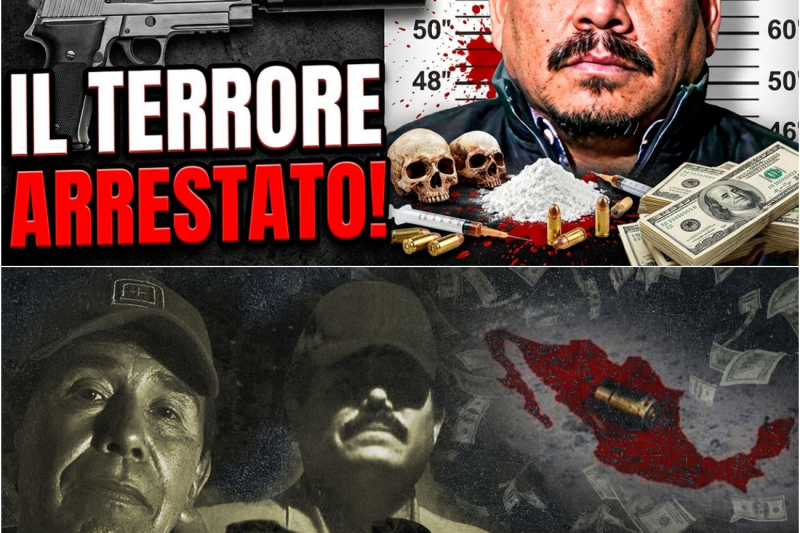 EL PATO: la guerra Los Chapitos vs La Mayiza esplode, lui era il burattinaio! – Cartello di Sinaloa