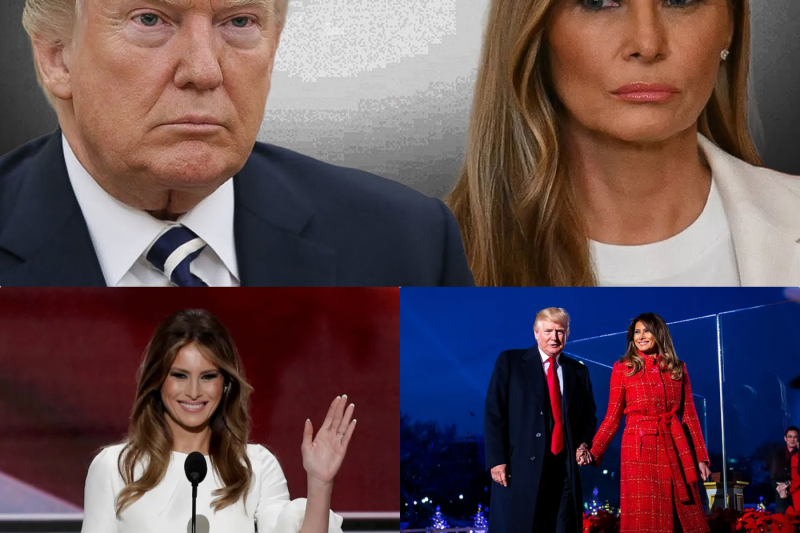 Le Pacte du Silence : La Mécanique Froide derrière le Mariage des Trump