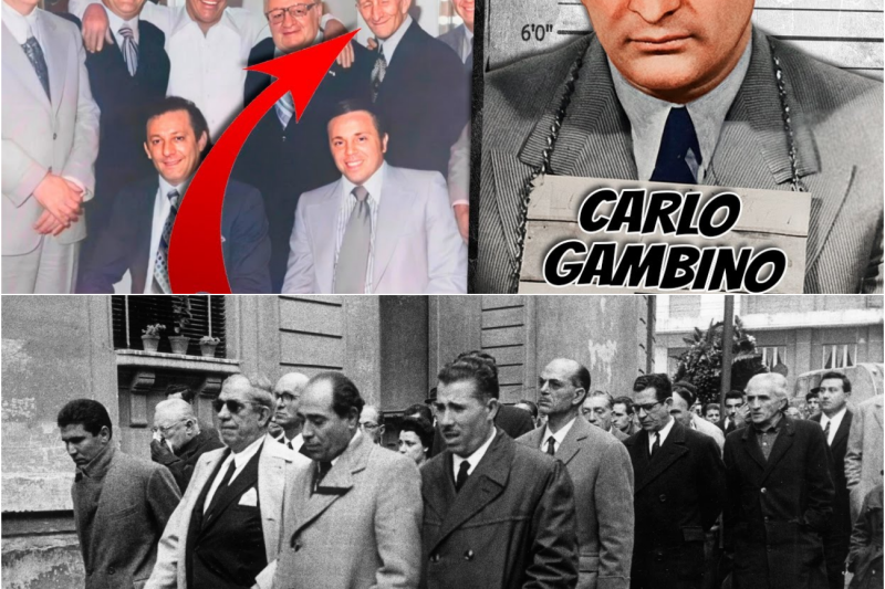 CARLO GAMBINO BOSS PIÙ POTENTE DELLA MAFIA? Frank Costello, Lucky Luciano, Vito Genovese, John Gotti
