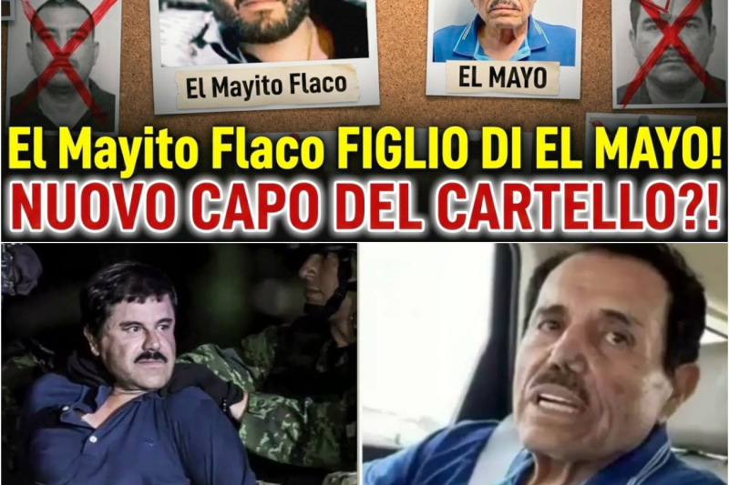 El Mayito Flaco FIGLIO DI EL MAYO! NUOVO CAPO DEL CARTELLO?! GUERRA A CHAPITOS! Cartello di Sinaloa!
