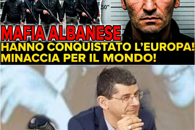 MAFIA ALBANESE HA CONQUISTATO L’Europa?! REXHEPI, ÇOPJA E ÇELA PIÙ TERRIBILI DELLA ‘NDRANGHETA!