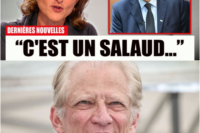 Le Prix Secret de la Grandeur : Comment l’Obsession du Pouvoir a Brisé le Mariage de Dominique et Marie-Laure de Villepin