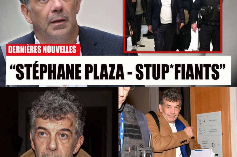 L’Empire Brisé de l’Animateur Chéri : Comment Stéphane Plaza a Perdu la Confiance de la France en Passant des Salons Télévisés aux Salles d’Audience