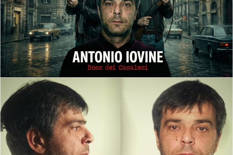 ANTONIO IOVINE – L’Ascesa e il Declino del Boss dei Casalesi