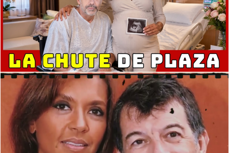 Chute Vertigineuse et Face Sombre : La Vérité Bouleversante sur le Scandale Stéphane Plaza qui Divise la France