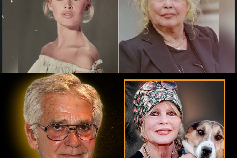 Brigitte Bardot à la Madrague : derrière le silence, le pouvoir de la narration
