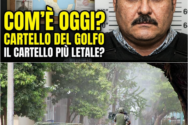 Cartello del Golfo dalla NASCITA all’IMPERO NARCOS PIÙ LETALE del MESSICO! Come sono LORO OGGI?