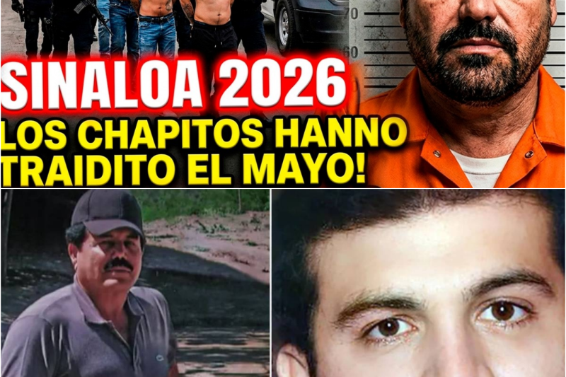 Cartello di SINALOA 2026: LOS CHAPITOS Hanno Venduto EL MAYO! I FIGLI DI EL CHAPO ANCORA PIÙ CRUDELI