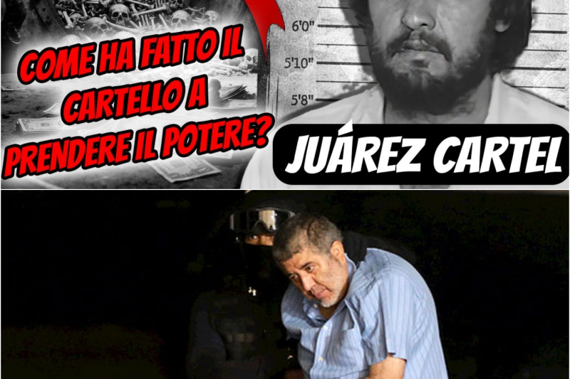 Cartello di Juárez La verità proibita: Amado contro Sinaloa, Ojinaga, La Línea e Barrio Azteca