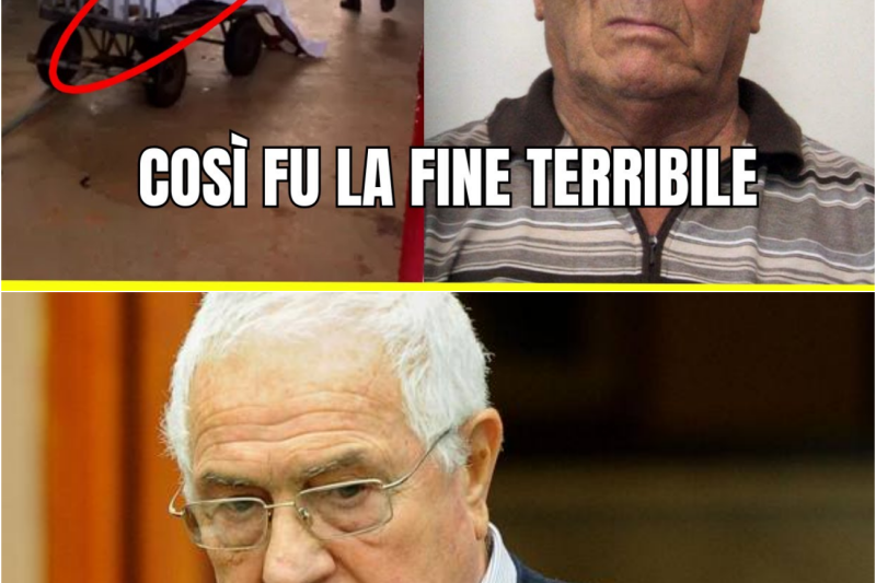 Ecco perché è stato ucciso il fratello di Totò Rinna “Gaetano Riina”! Lo sapevi?