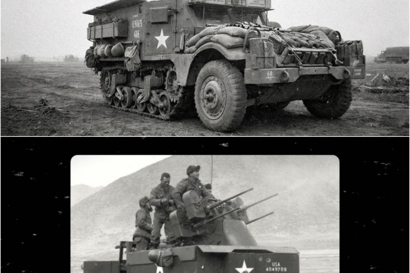 Il «TRITACARNE» PROIBITO degli USA: Perché fu il PEGGIOR INCUBO della Wehrmacht?