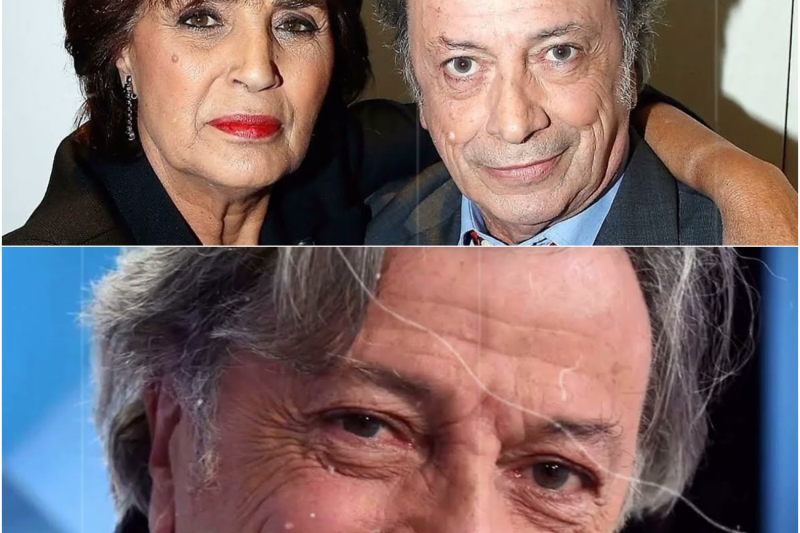 Les Secrets Enfouis d’Hervé Vilard : Entre Gloire Scénique, Traumatismes de l’Enfance et Destins Brisés