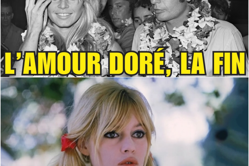 Des roses au coup de fusil : Le destin flamboyant et tragique de Gunter Sachs, le troisième mari de Brigitte Bardot